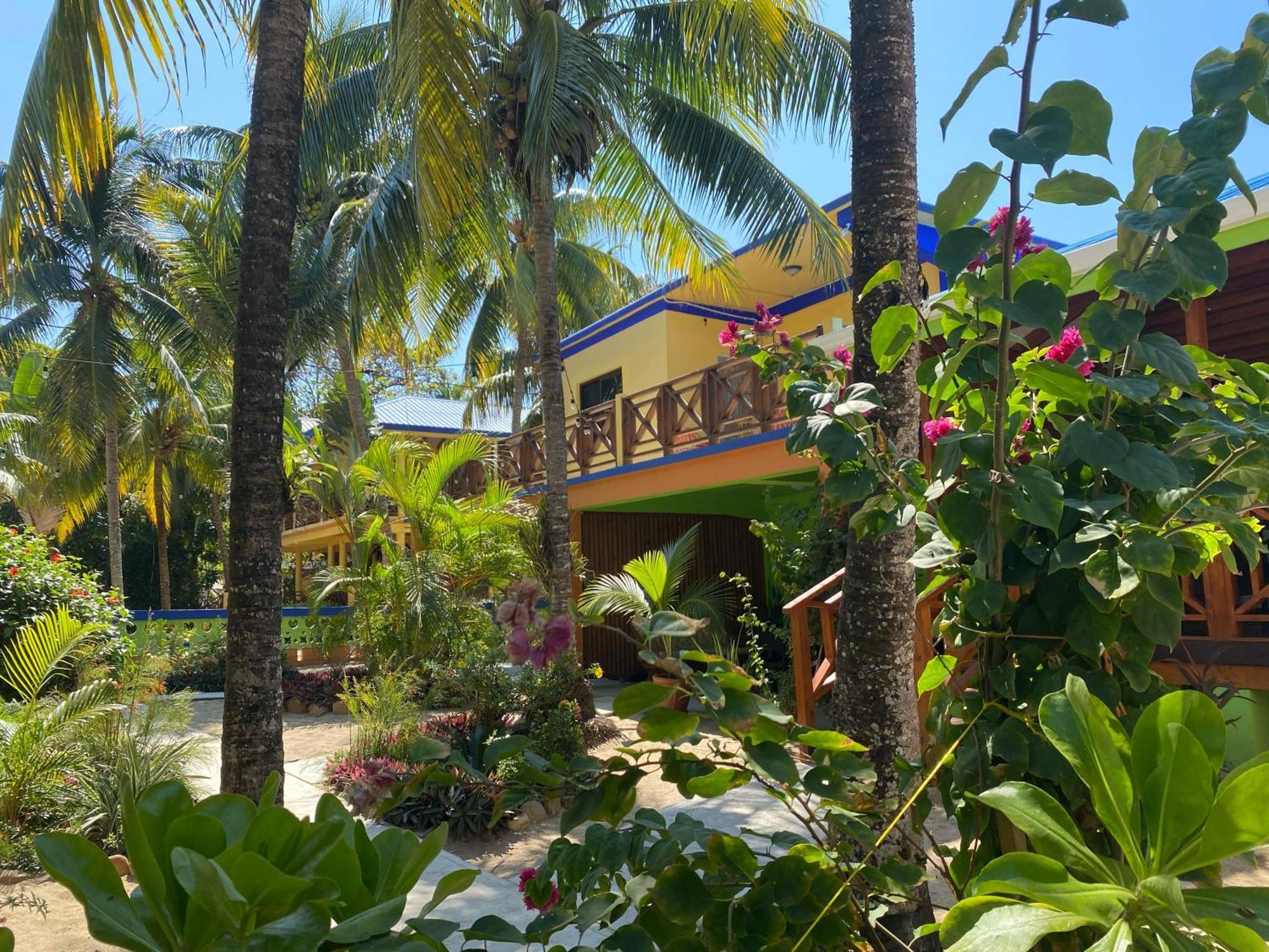 Coconut Row Boutique Hotel Hopkins Kültér fotó